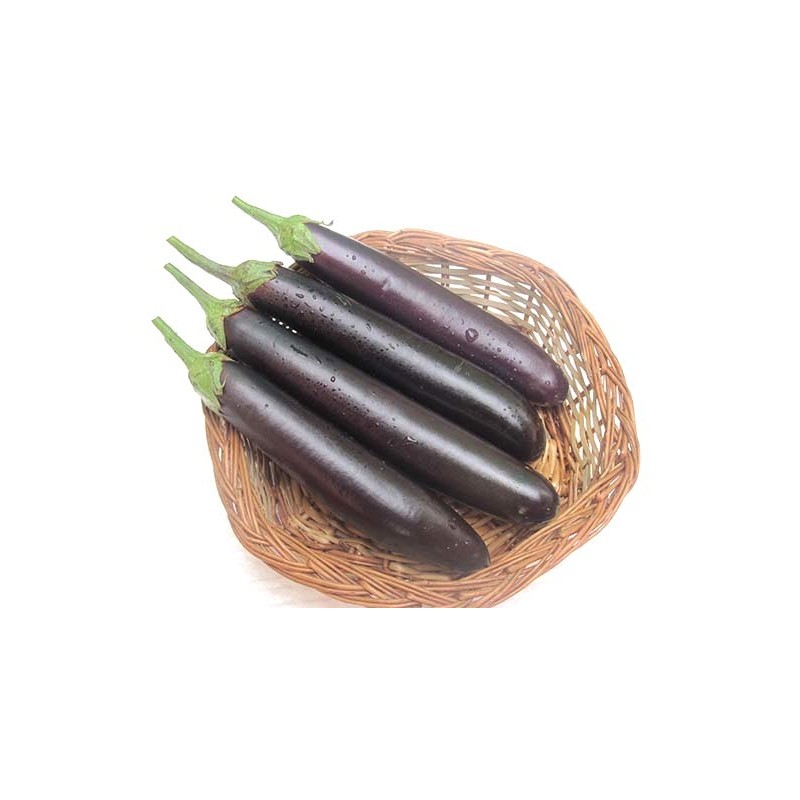 Brinjal - Purple Long