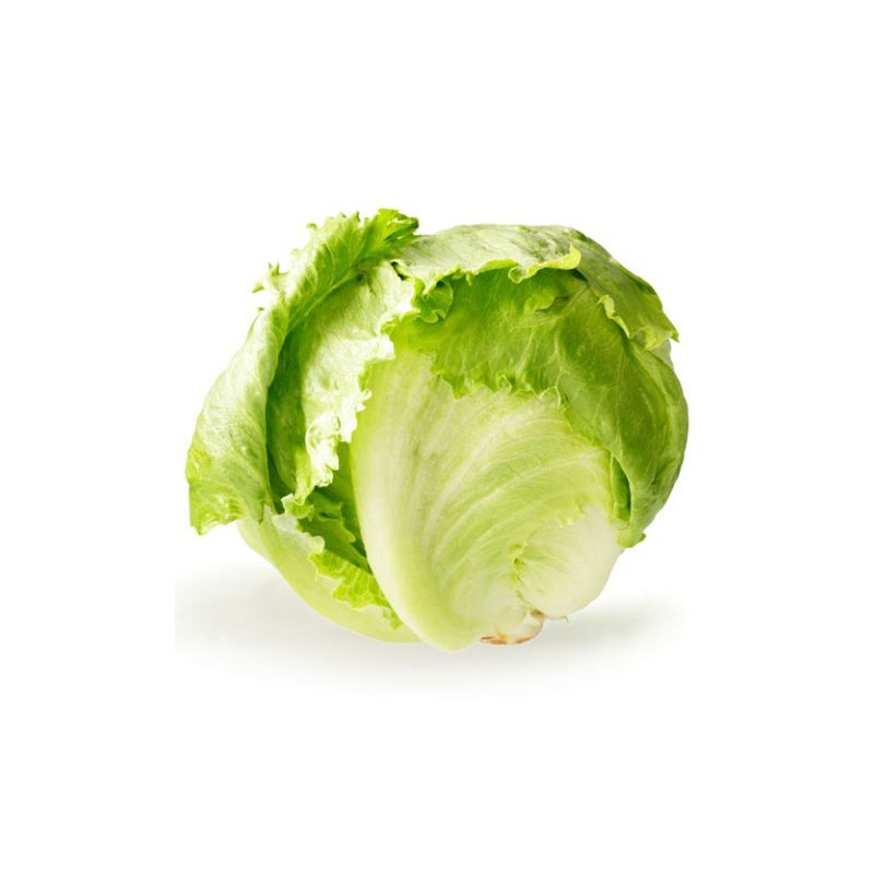 Lettuce ICEBERG